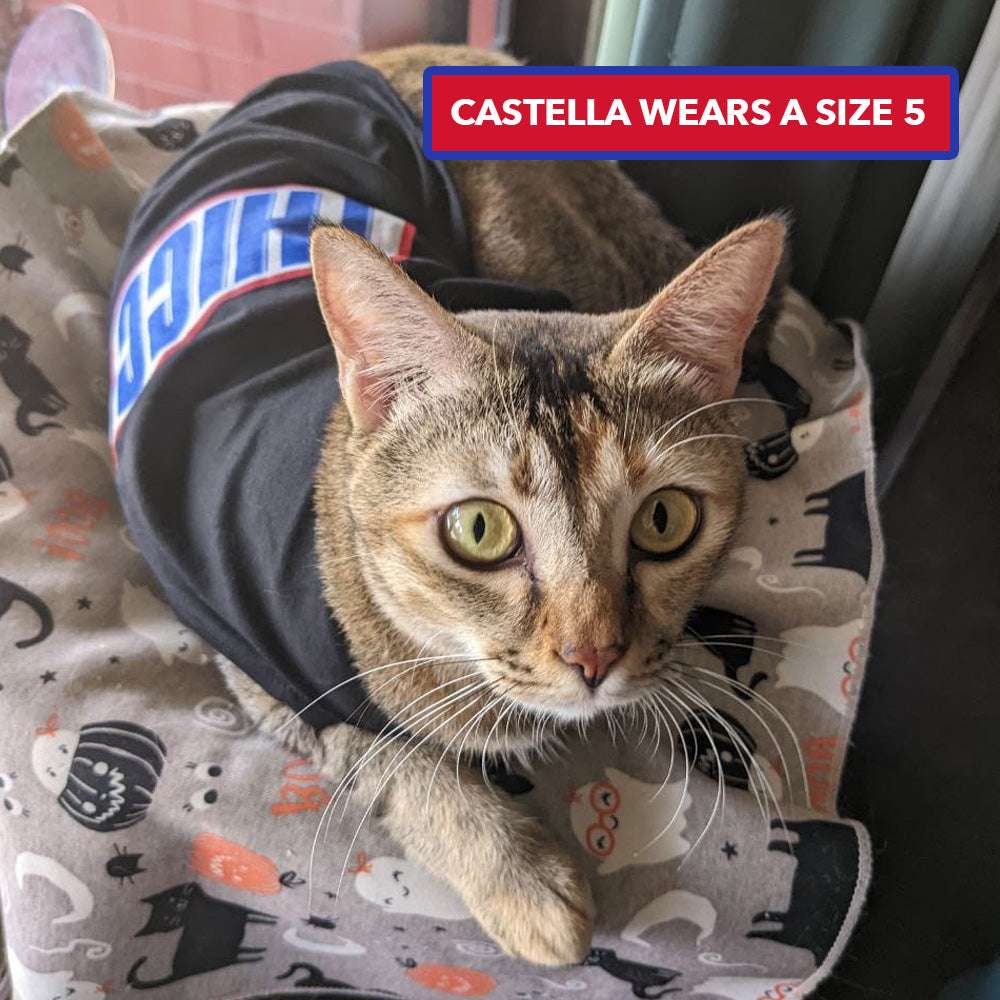 THICC PET T-SHIRT – Preetipls